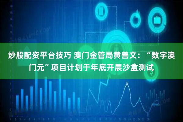 炒股配资平台技巧 澳门金管局黄善文：“数字澳门元”项目计划于年底开展沙盒测试