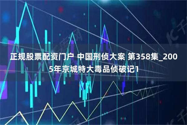 正规股票配资门户 中国刑侦大案 第358集_2005年京城特大毒品侦破记1