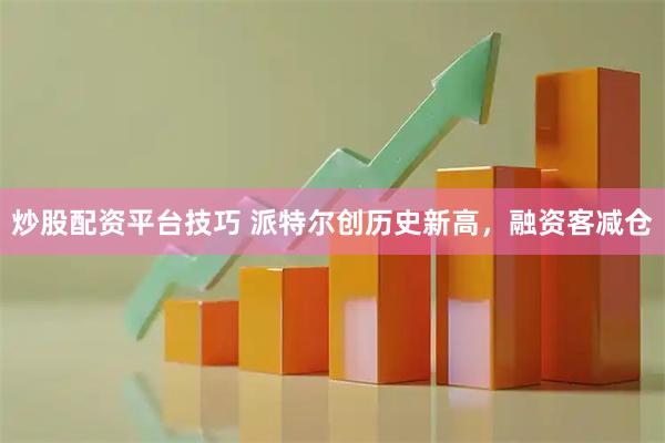 炒股配资平台技巧 派特尔创历史新高，融资客减仓