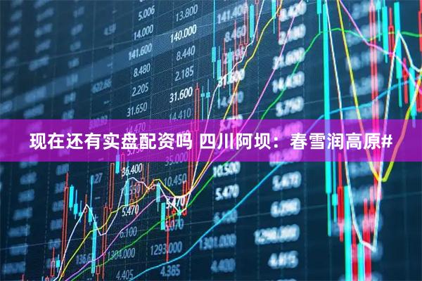 现在还有实盘配资吗 四川阿坝：春雪润高原#