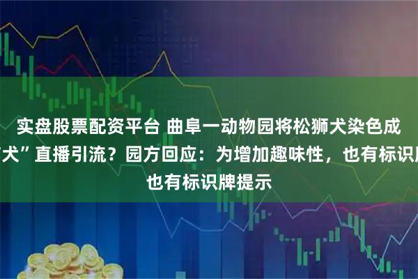 实盘股票配资平台 曲阜一动物园将松狮犬染色成“熊猫犬”直播引流？园方回应：为增加趣味性，也有标识牌提示